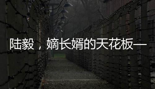 陆毅，嫡长婿的天花板——深度探究其独特魅力