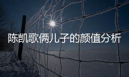 陈凯歌俩儿子的颜值分析