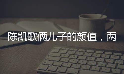 陈凯歌俩儿子的颜值，两代传承的帅气风采
