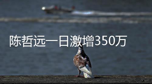 陈哲远一日激增350万粉丝，星途璀璨，人气火箭式上升