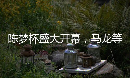 陈梦杯盛大开幕，马龙等明星送祝福