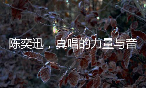 陈奕迅，真唱的力量与音乐的震撼