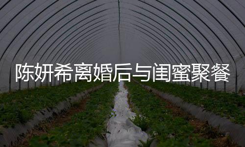 陈妍希离婚后与闺蜜聚餐状态良好，独立女性的魅力不减