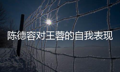 陈德容对王蓉的自我表现发表评论，工作中的态度与个人成长的探讨