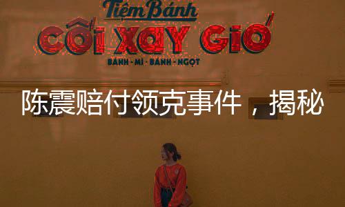 陈震赔付领克事件，揭秘背后的故事，涉及金额高达500万