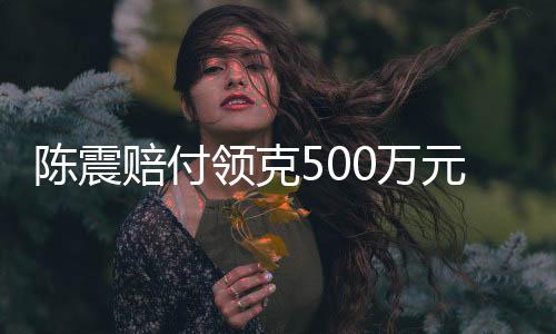 陈震赔付领克500万元违约金事件解析