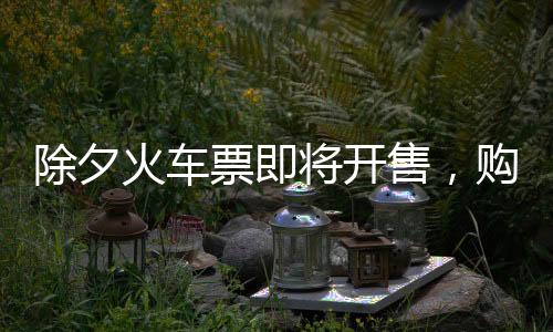 除夕火车票即将开售，购票攻略与实用信息一二三四五六七八九十