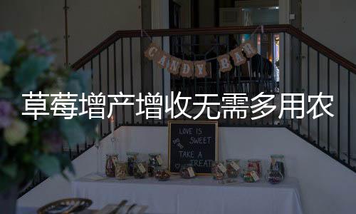 草莓增产增收无需多用农药，真相揭秘