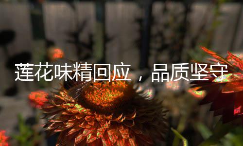 莲花味精回应，品质坚守与市场动态的深度对话（一二三四五六七八九十）