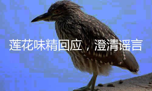 莲花味精回应，澄清谣言，正名行业先锋地位 —— 全面解析事件进展