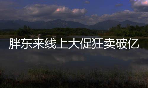 胖东来线上大促狂卖破亿，一日销售额突破惊人的1.3亿