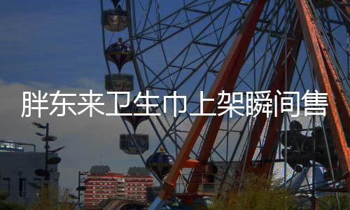 胖东来卫生巾上架瞬间售罄，市场热议与消费者洞察