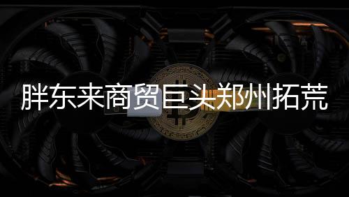 胖东来商贸巨头郑州拓荒，创新零售新模式引关注