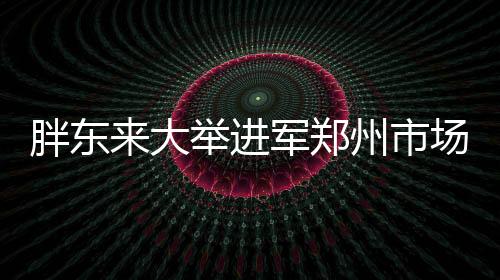 胖东来大举进军郑州市场，全新店铺盛大开业