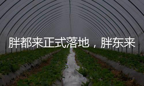 胖都来正式落地，胖东来品牌的崭新回应