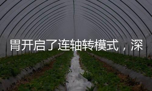 胃开启了连轴转模式，深度解析人体消化新变化