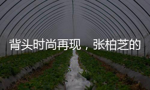 背头时尚再现，张柏芝的魅力风采