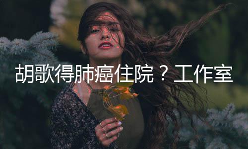 胡歌得肺癌住院？工作室辟谣