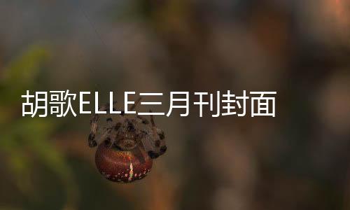 胡歌ELLE三月刊封面，时尚魅力与演技实力的完美融合