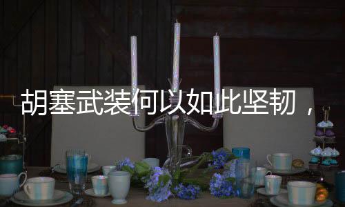 胡塞武装何以如此坚韧，深度解析其抗打击能力