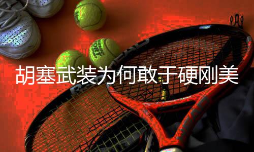 胡塞武装为何敢于硬刚美国航母，解析背后的力量与策略