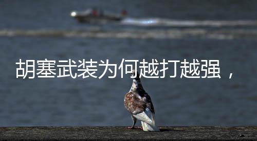 胡塞武装为何越打越强，深度解析其背后的原因