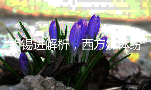 胡锡进解析，西方媒体纷纷批判万斯现象的背后