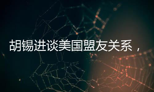 胡锡进谈美国盟友关系，做美国盟友真悲惨