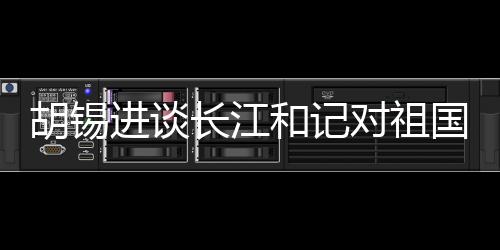 胡锡进谈长江和记对祖国有信心，坚定信念，共创未来