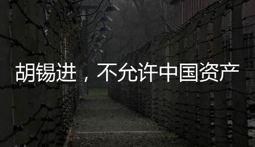 胡锡进，不允许中国资产被肆意侵占