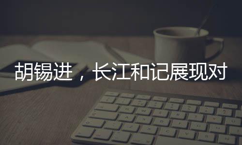 胡锡进，长江和记展现对祖国信心的坚定力量