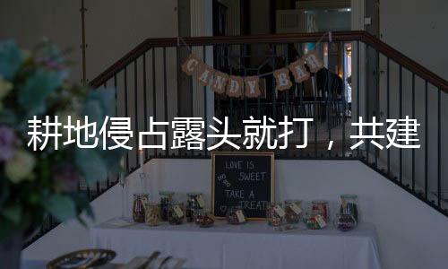 耕地侵占露头就打，共建生态美丽家园