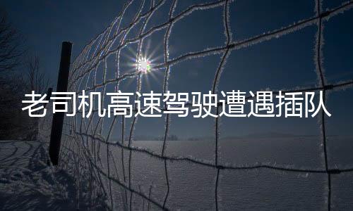 老司机高速驾驶遭遇插队，巧妙借道应急车道避险