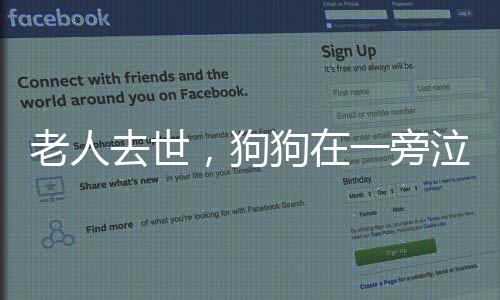 老人去世，狗狗在一旁泣不成声，忠诚与哀伤的见证