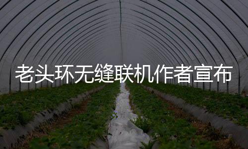 老头环无缝联机作者宣布《黑暗之魂3》版Mod开发中