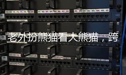老外扮熊猫看大熊猫，跨越文化的奇特体验