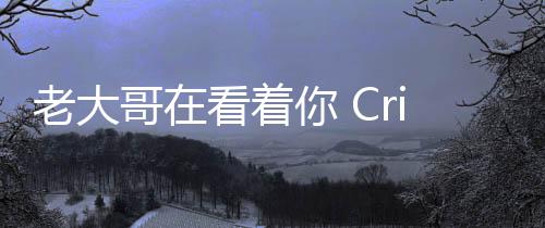 老大哥在看着你 CriticalReflex宣布代理《警目如炬》