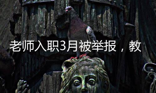 老师入职3月被举报，教育行业的职业道德与挑战分析