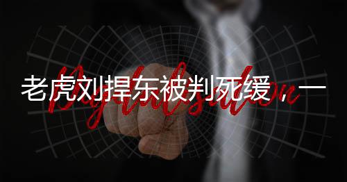老虎刘捍东被判死缓，一则关于正义与社会道德的新闻分析