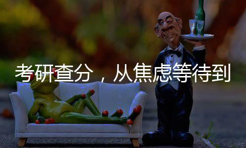 考研查分，从焦虑等待到揭晓成绩的旅程（一）到（十）解读