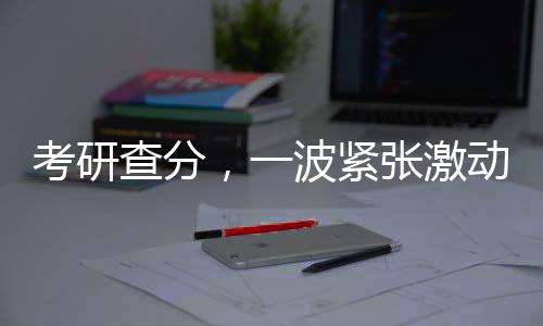 考研查分，一波紧张激动的旅程