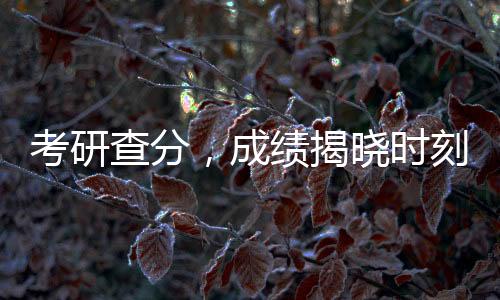 考研查分，成绩揭晓时刻的焦虑与期待