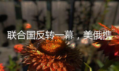 联合国反转一幕，美俄携手反对乌提案 全新视角解读这一国际热点事件