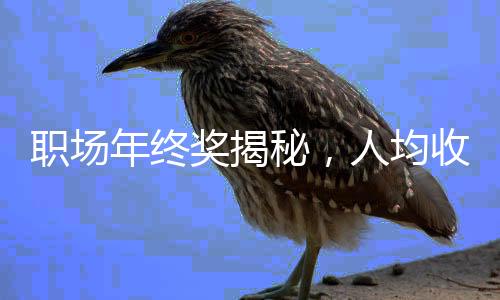 职场年终奖揭秘，人均收获6091元，一线员工、白领有何所获？且看详细分析。