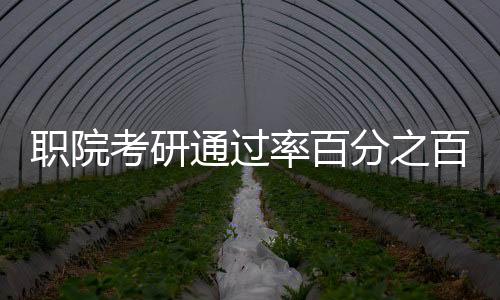 职院考研通过率百分之百，全面解读成功背后的故事