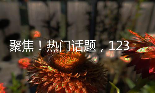 聚焦！热门话题，12345转型成电影之旅