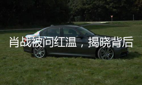 肖战被问红温，揭晓背后真相，一夜热议事件的全方位解读