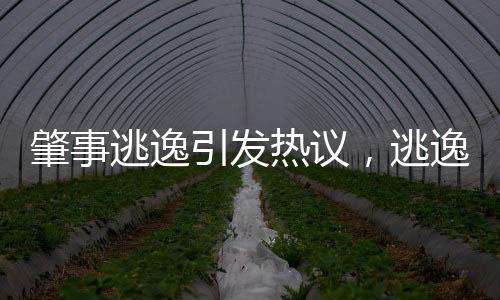肇事逃逸引发热议，逃逸者驾驶猫车辆难以置信