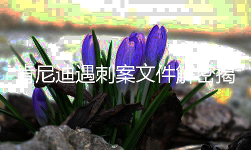 肯尼迪遇刺案文件解密揭秘了什么，历史真相的新证据