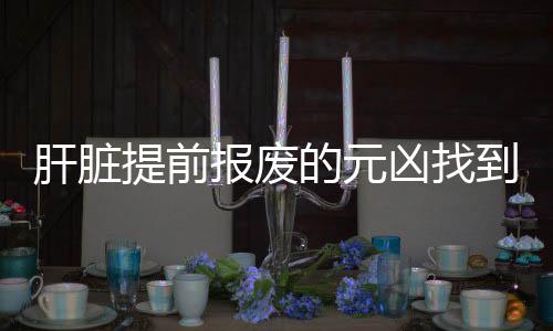 肝脏提前报废的元凶找到了